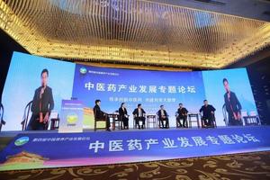 中医药大健康产业发展中存在的问题及发展战略